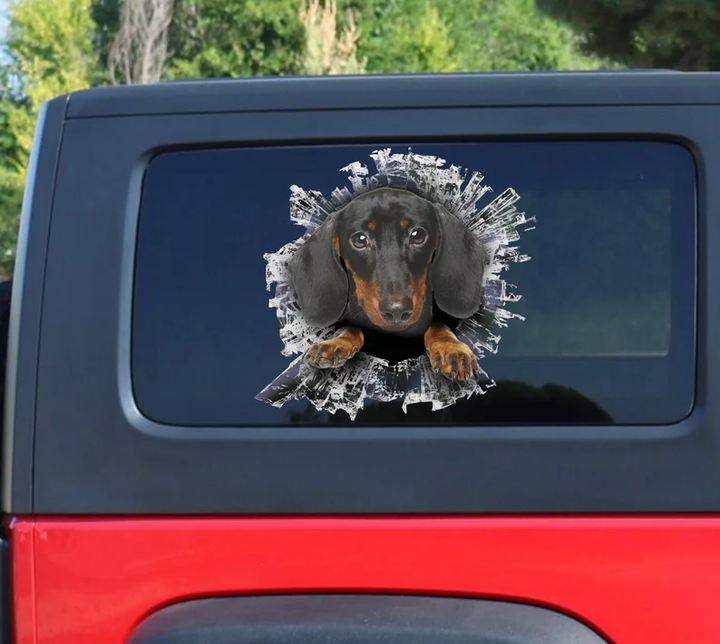 Funny Dachshund Dog 3D Vinyl Car Decal Stickers CCS3170