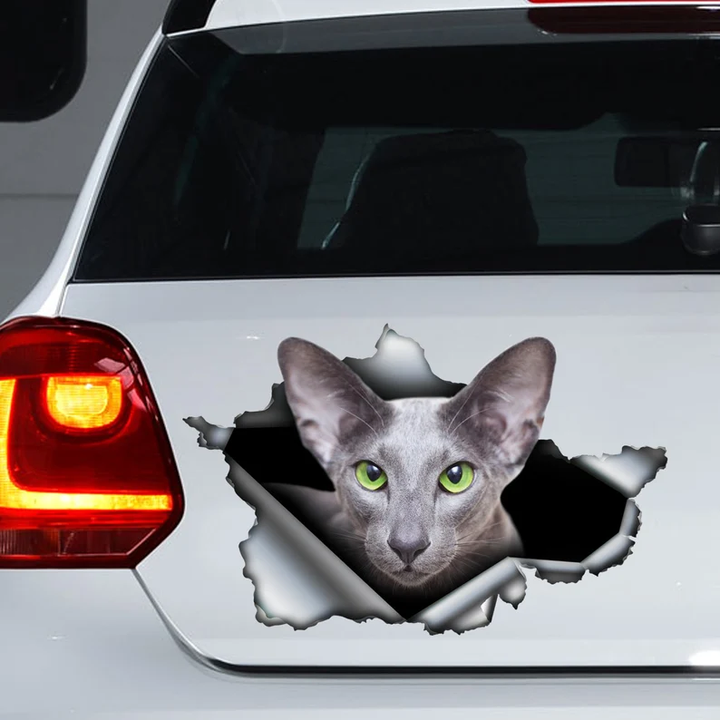 Grey Oriental Cat 3D Vinyl Car Decal Stickers CCS2914