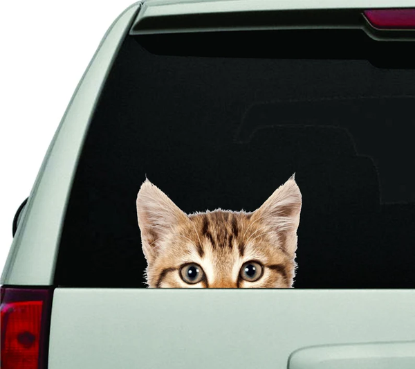 Cute Funny Cat 3D Vinyl Car Decal Stickers CCS3437