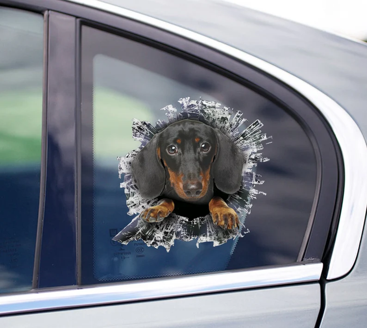 Funny Dachshund Dog 3D Vinyl Car Decal Stickers CCS3170