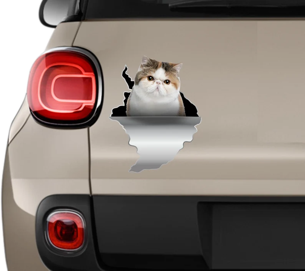 Cute Exotic Cat 3D Vinyl Car Decal Stickers CCS3436