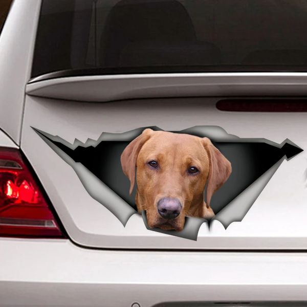 Red Labrador Dog 3D Vinyl Car Decal Stickers CCS3066