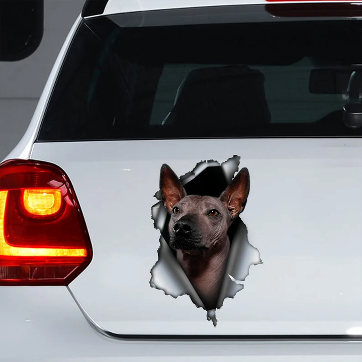 Xoloitzcuintle Dog 3D Vinyl Car Decal Stickers CCS3171