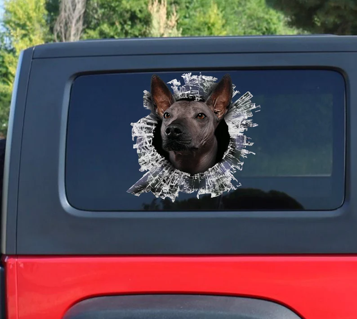 Xoloitzcuintle Dog 3D Vinyl Car Decal Stickers CCS3171