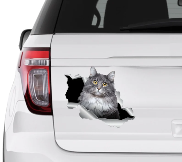 Gray Maine Cat 3D Vinyl Car Decal Stickers CCS3435