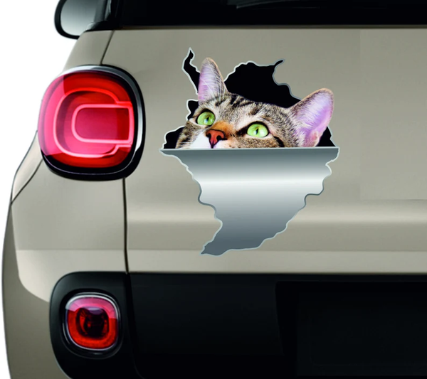 Cute Looking Cat 3D Vinyl Car Decal Stickers CCS3434