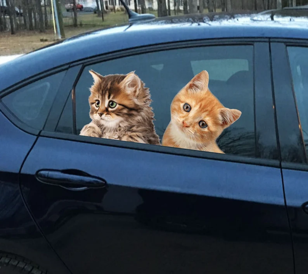 Two Pretty Cats 3D Vinyl Car Decal Stickers CCS3433