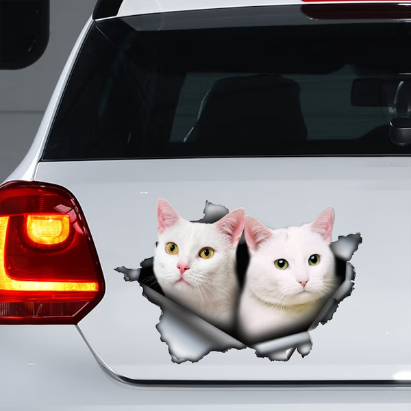 Two Cute White Cats 3D Vinyl Car Decal Stickers CCS2985