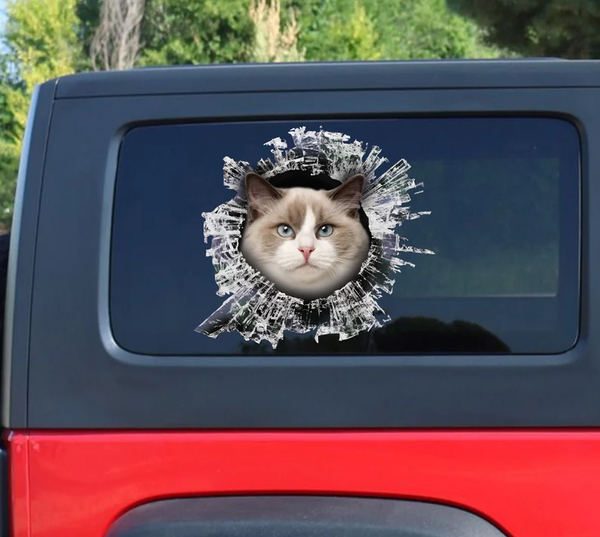 Cute Ragdoll Cat Cracked Window 3D Vinyl Car Decal Stickers CCS2919