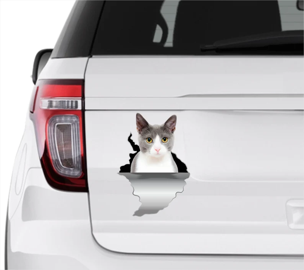 Pretty Cute Cat 3D Vinyl Car Decal Stickers CCS3429