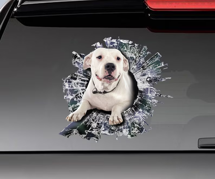 White Pitbull Dog 3D Vinyl Car Decal Stickers CCS3029