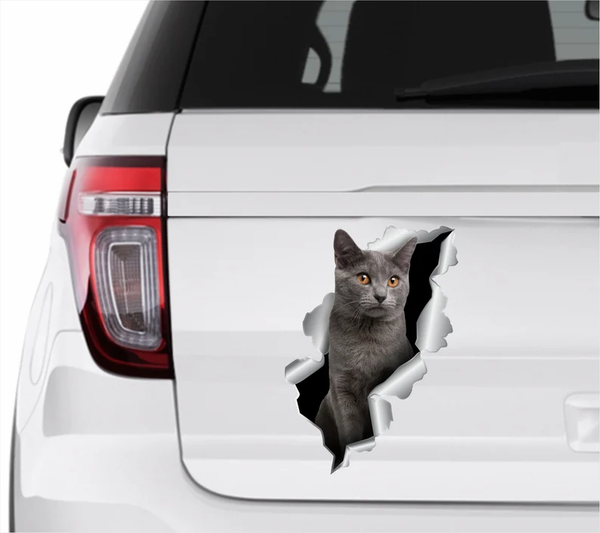 Gray Cat 3D Vinyl Car Decal Stickers CCS3432
