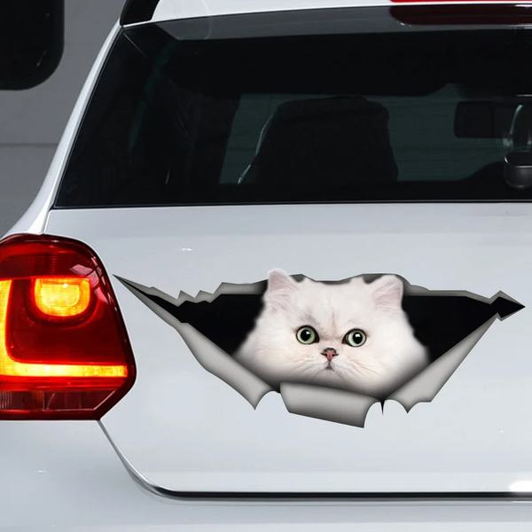 Cute White Persian Cat 3D Vinyl Car Decal Stickers CCS2920