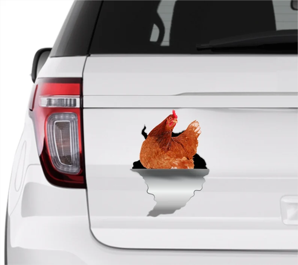 Hen Chicken Rooster  3D Vinyl Car Decal Stickers CCS3428