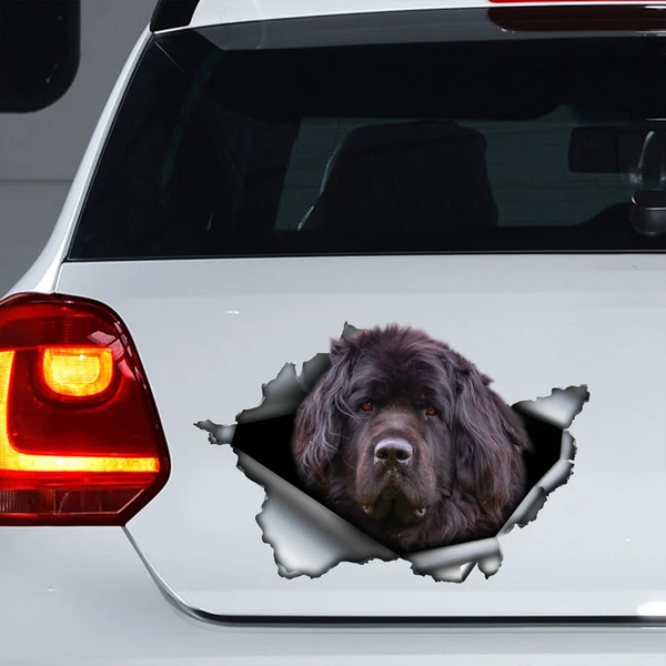 Black Newfie Newfoundland Dog 3D Vinyl Car Decal Stickers CCS3175