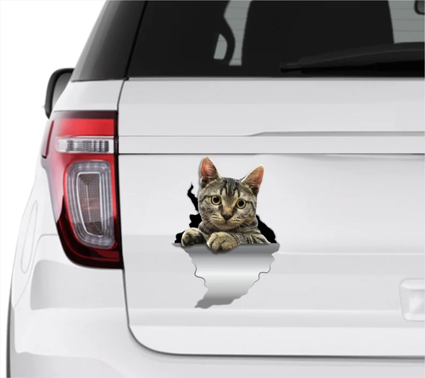Cute Grey Cat 3D Vinyl Car Decal Stickers CCS3430