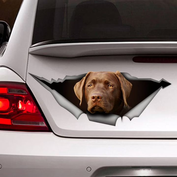 Сhocolate Labrador Dog3D Vinyl Car Decal Stickers CCS3074