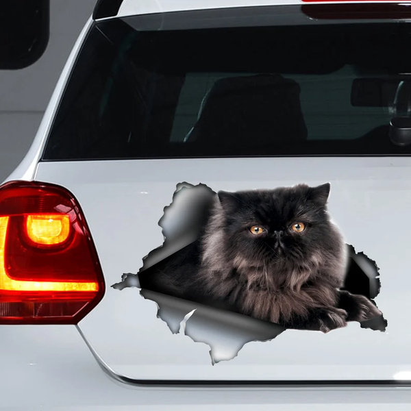 Black Persian Cat 3D Vinyl Car Decal Sticker