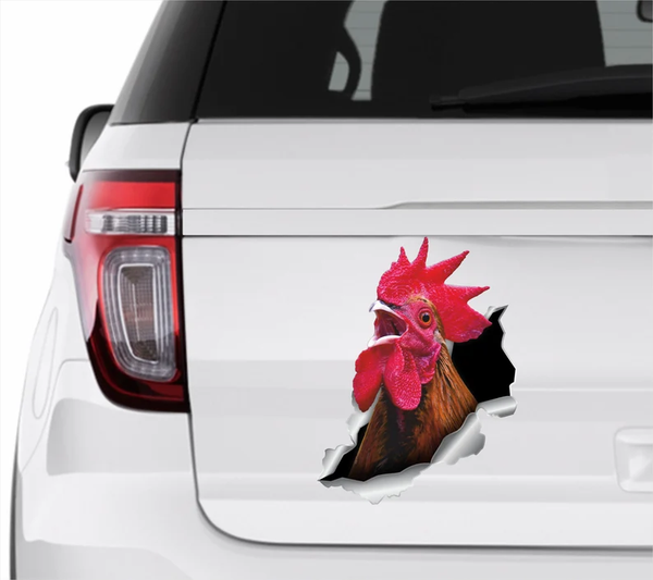 Hen Chicken Rooster 3D Vinyl Car Decal Stickers CCS3423