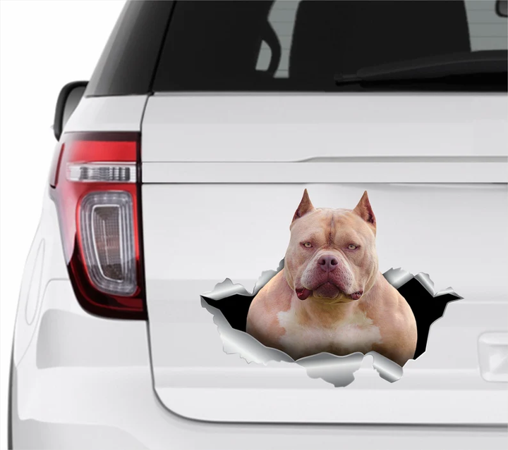 American Pitbull Dog 3D Vinyl Car Decal Stickers CCS3422