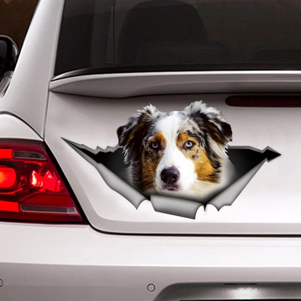 Australian Shepherd Dog 3D Vinyl Car Decal Stickers CCS3077