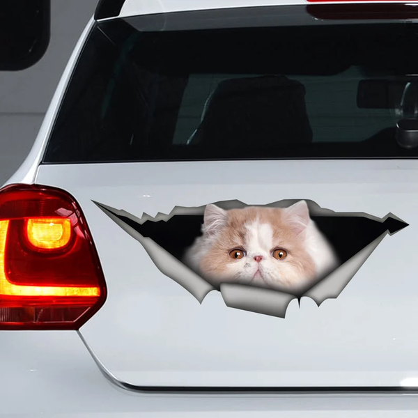 Funny Persian Cat 3D Vinyl Car Decal Stickers CCS2929