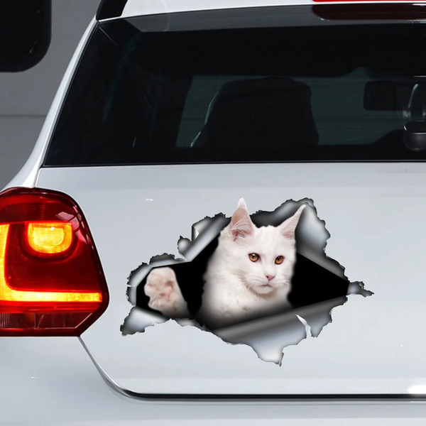 White Maine Coon Cat 3D Vinyl Car Decal Stickers CCS2975