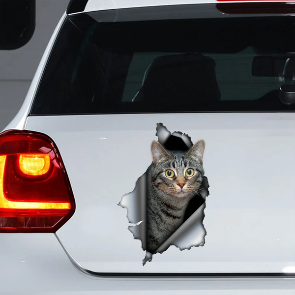 Grey Tabby Cat 3D Vinyl Car Decal Stickers CCS3346