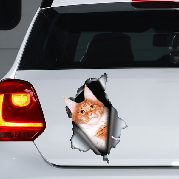 White Yellow Maine Coon Cat 3D Vinyl Car Decal Stickers CCS2984
