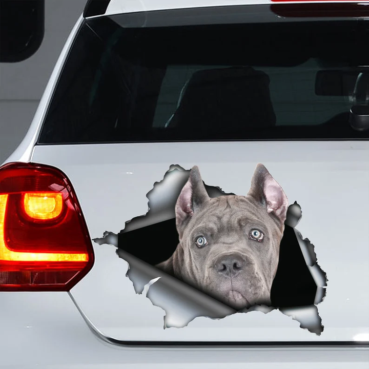 Gray Cane Corso Dog 3D Vinyl Car Decal Stickers CCS3080