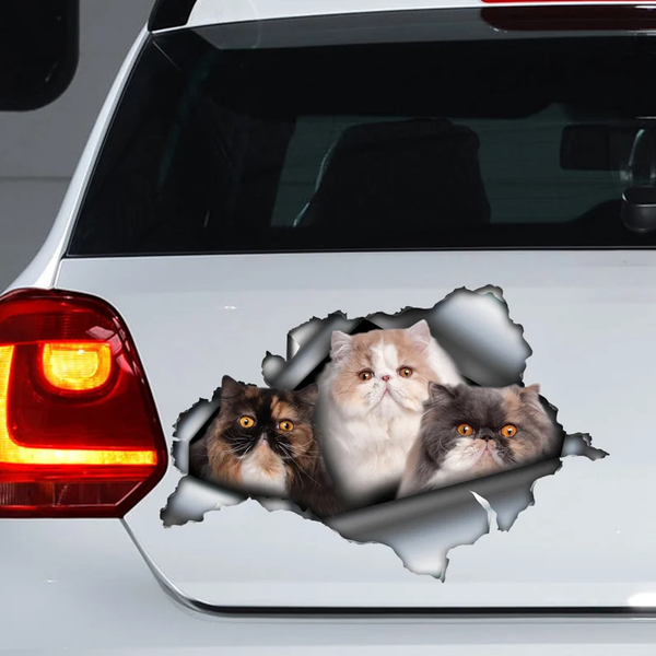 Three Cute Persian Cats 3D Vinyl Car Decal Sticker