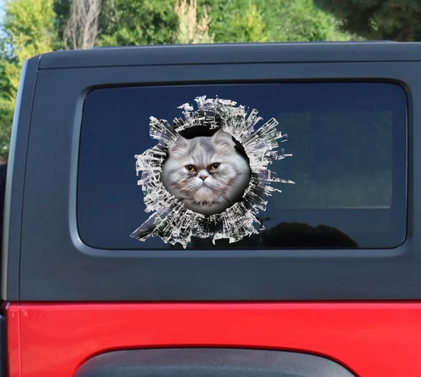 Grey Persian Cat 3D Vinyl Car Decal Sticker