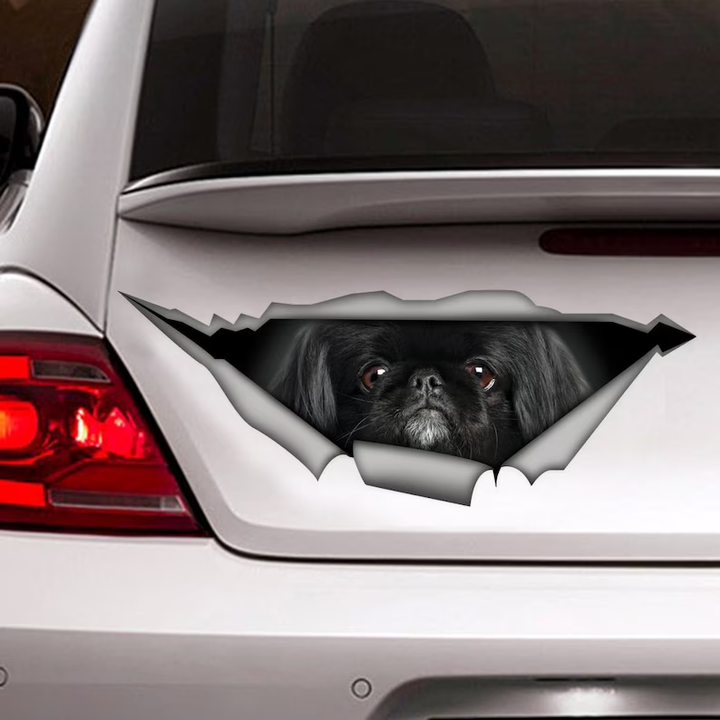 Black Pekingese Dog 3D Vinyl Car Decal Stickers CCS3042