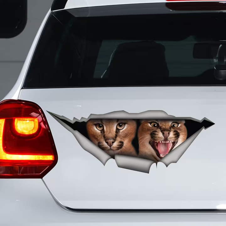 Two Caracals Cats 3D Vinyl Car Decal Stickers CCS2935