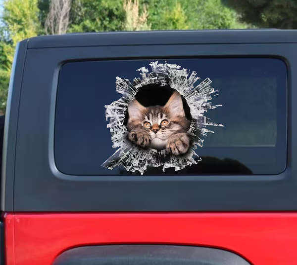 Maine Coon Kitten Cat 3D Vinyl Car Decal Stickers CCS2936