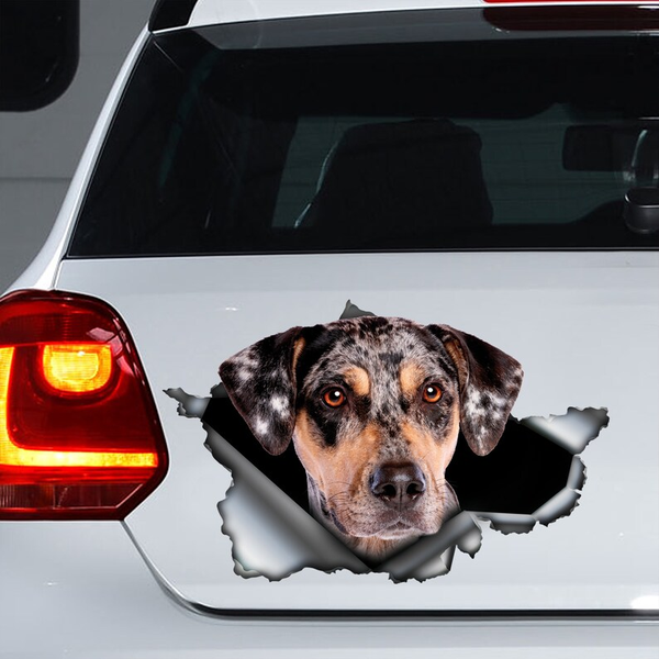 Louisiana Catahoula Leopard Dog 3D Vinyl Car Decal Sticker