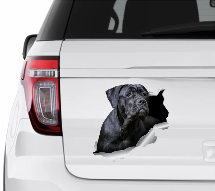 Black Cane Corso Dog 3D Vinyl Car Decal Stickers CCS3413