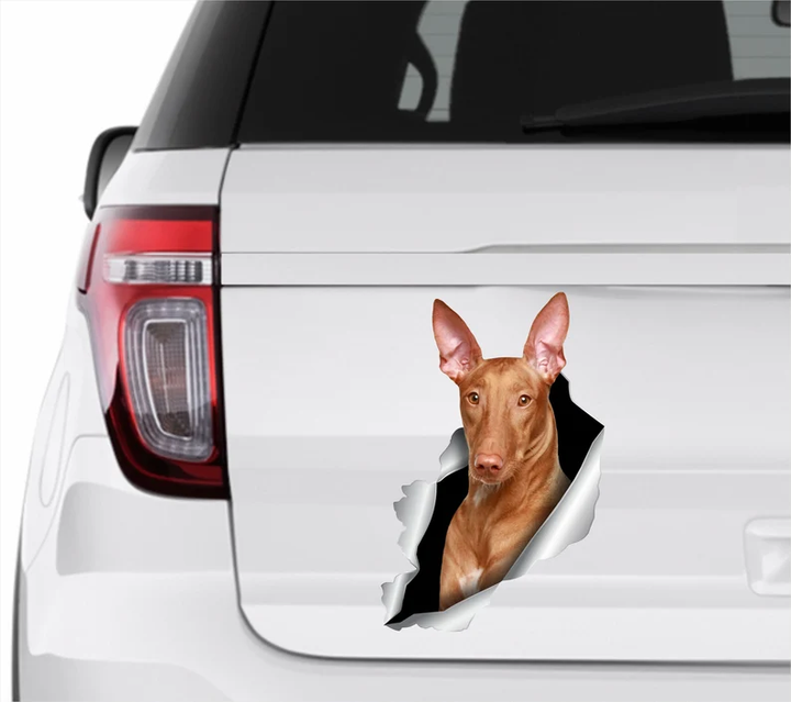 Pharaoh Hound Dog 3D Vinyl Car Decal Stickers CCS3087