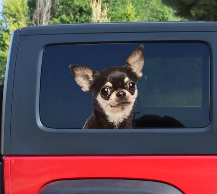 Funny Chihuahua Dog 3D Vinyl Car Decal Stickers CCS2938