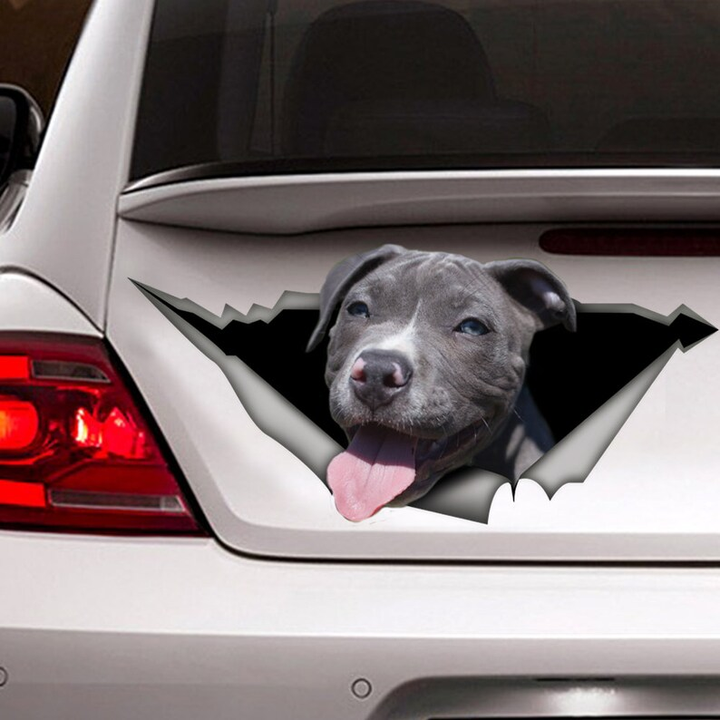 Grey Pitbull Dog 3D Vinyl Car Decal Stickers CCS3047