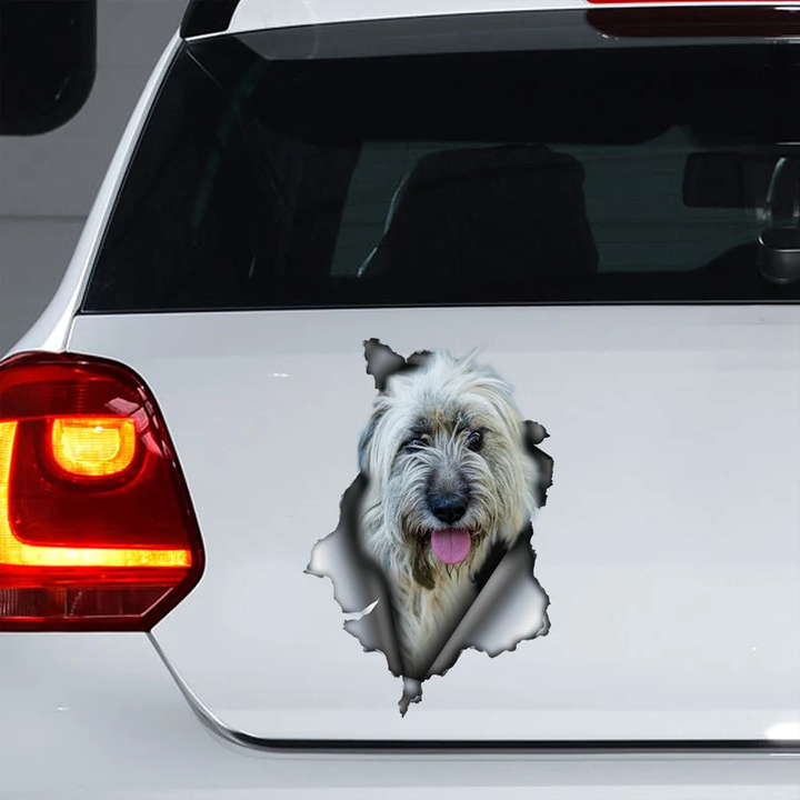 Funny Briard Dog 3D Vinyl Car Decal Stickers CCS3160