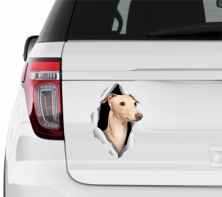 Fawn Whippet Dog 3D Vinyl Car Decal Stickers CCS3091