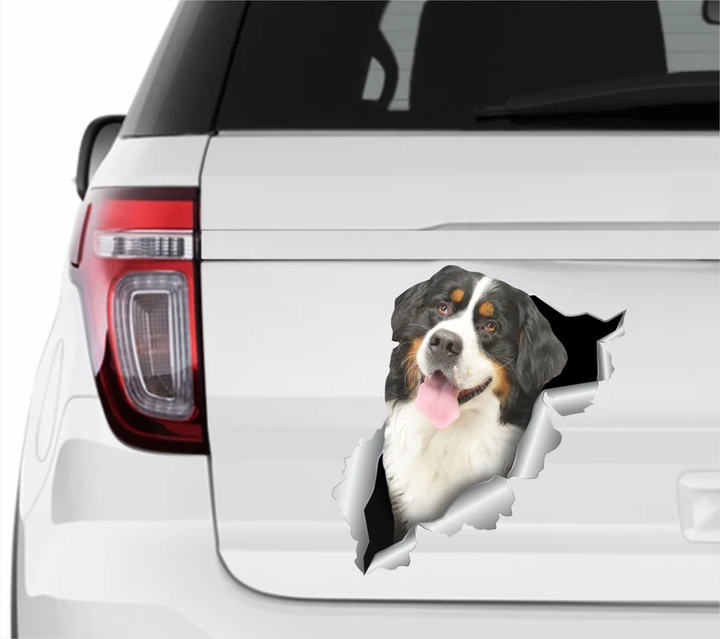 Bernese Mountain Dog 3D Vinyl Car Decal Stickers CCS3406