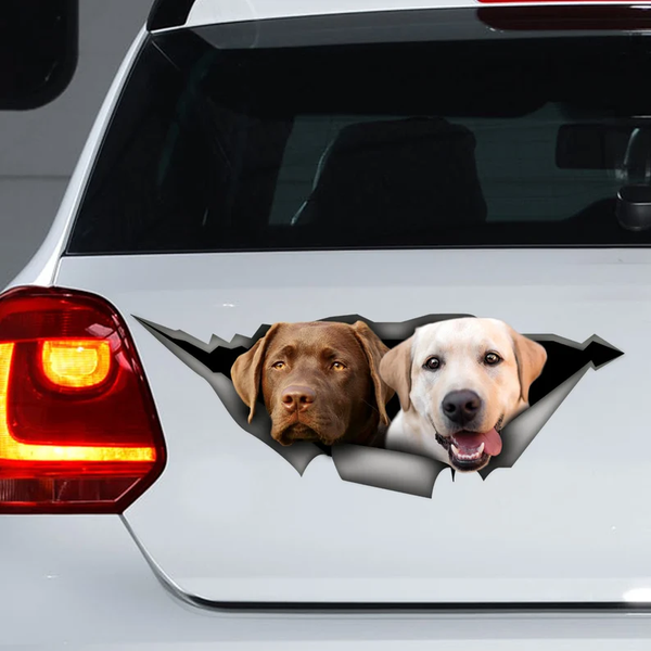 Chocolate Gold Lab Dogs 3D Vinyl Car Decal Stickers CCS2942