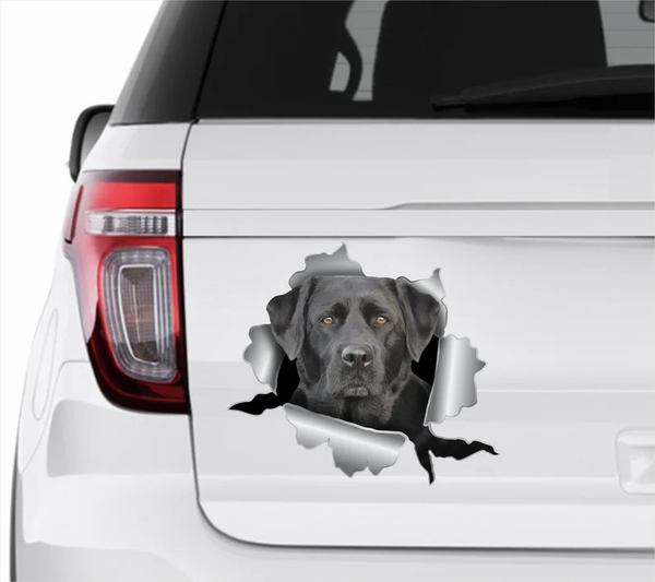 Black Labrador Retriever Dog 3D Vinyl Car Decal Stickers CCS3092