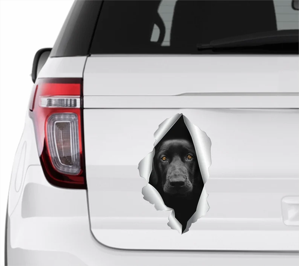 Black Labrador Retriever Dog 3D Vinyl Car Decal Stickers CCS3093