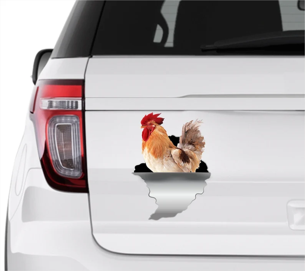 Farm Сock Chicken 3D Vinyl Car Decal Stickers CCS3400