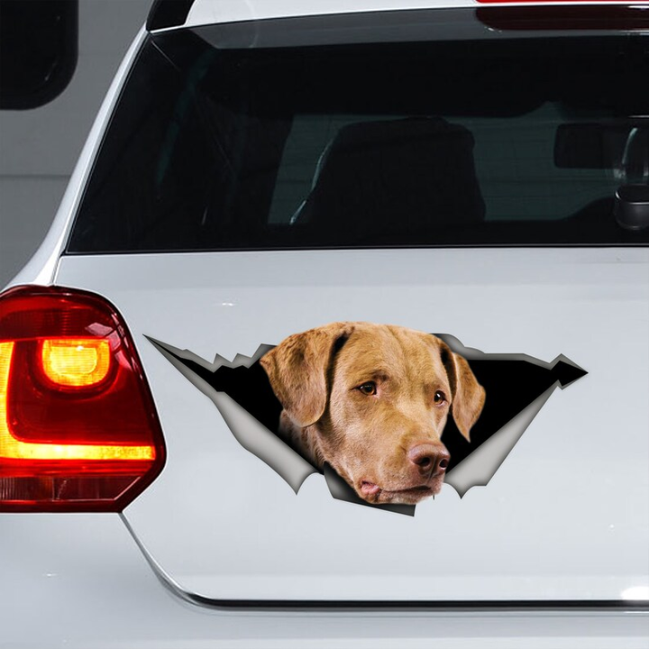 Chesapeake Bay Retriever Dog 3D Vinyl Car Decal Stickers CCS3185