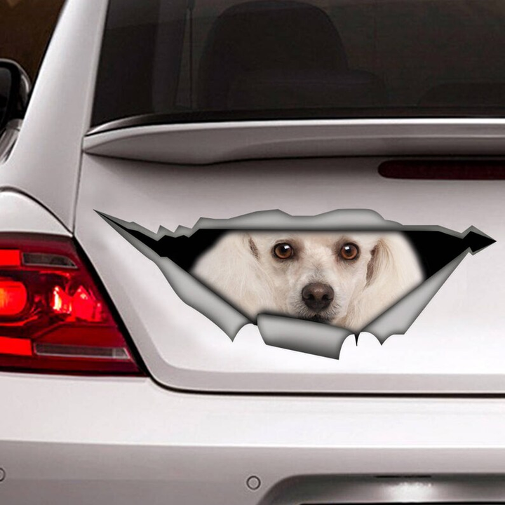 White Poodle Dog 3D Vinyl Car Decal Stickers CCS3054