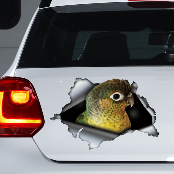 Yellow Sided Green Cheek Conure Parrot 3D Vinyl Car Decal Stickers CCS2904